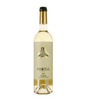 Portia Verdejo Rueda Blanco